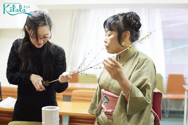 Nghệ nhân Kouen Yokoi Nghệ nhân Kouen Yokoi